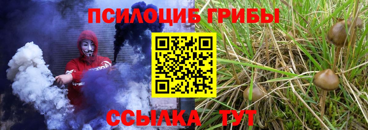Псилоцибиновые грибы ЛСД  Вход с VPN  Галлюциногенные грибы ЛСД  Моздок 