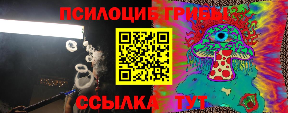 Галлюциногенные грибы Psilocybe Моздок